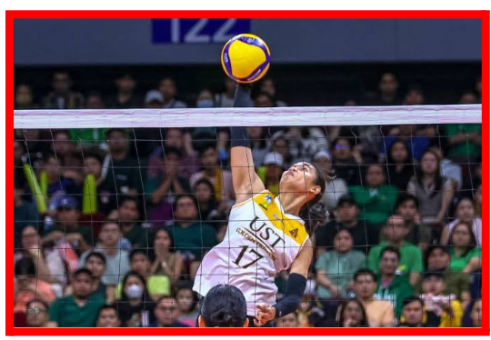 New Stars Shine Bright in UAAP Season 86 Volleyball