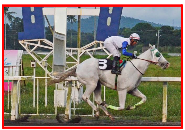 Istolen Ola Surprises Favorites to Win 2024 Philracom Commissioner Dante Lantin Cup